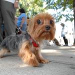 C 2007 BUTCH 10 6 07 0251.jpg