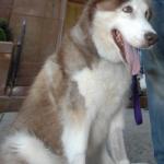 C 2007 BUTCH 10 6 07 0253.jpg