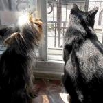 R & C 2006 BUTCH 9 18  06   0596 My Pals2.jpg